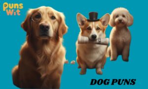 DOG PUNS