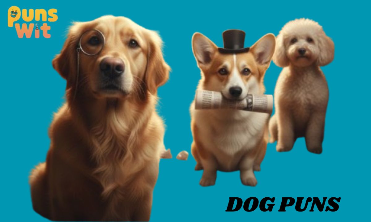 DOG PUNS